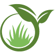 Issaquah Lawn Clean Up