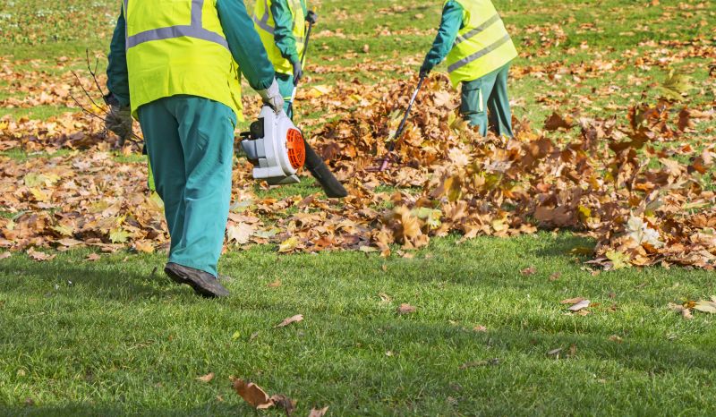 Leaf Blowing Service