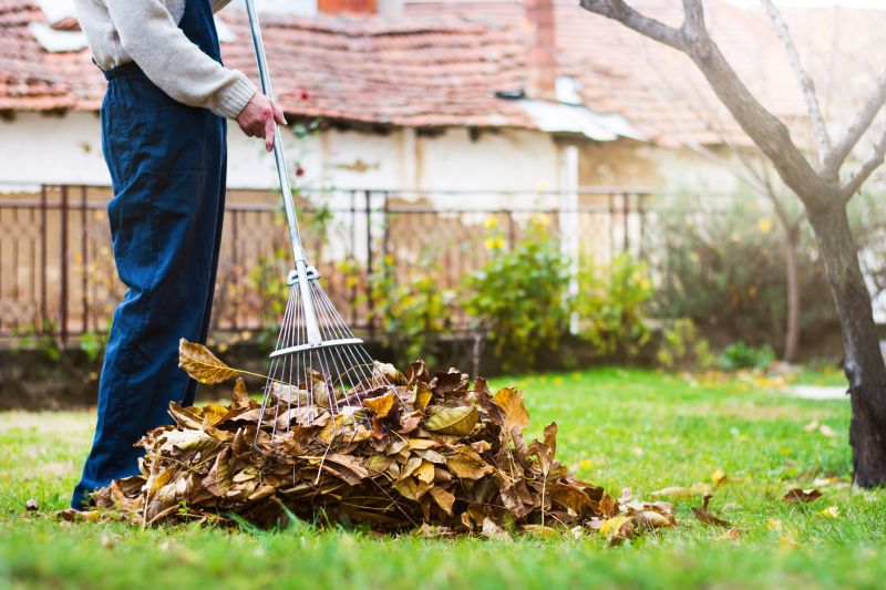 Seasonal Landscape Maintenance