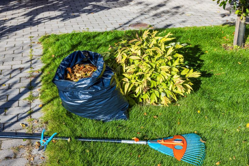 Leaf and Debris Removal