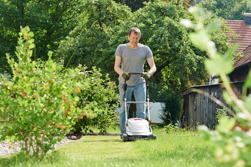 Seasonal Lawn Maintenance
