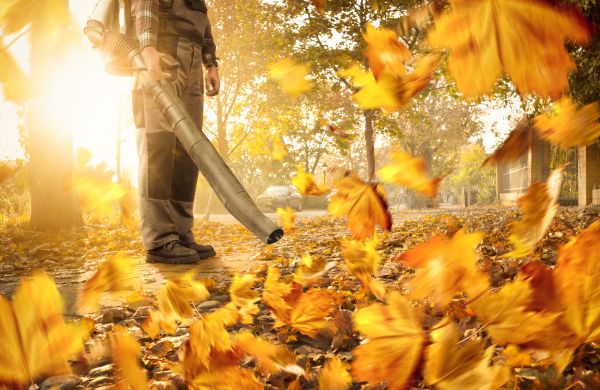 Cost of Leaf Blowing Service in Issaquah