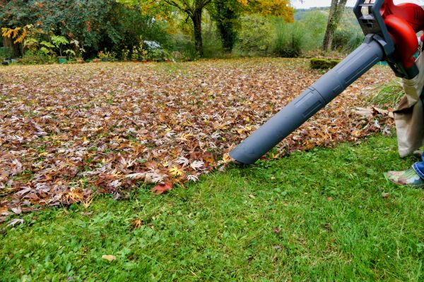 Cost of Leaf Vacuuming Service in Issaquah