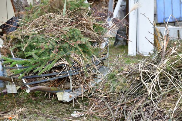 Cost of Yard Debris Removal in Issaquah