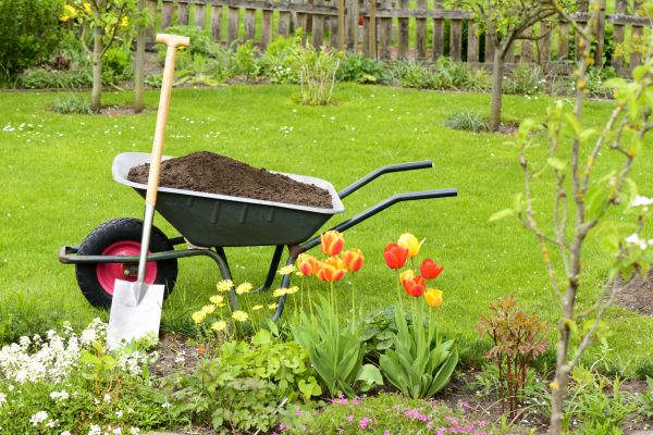 Cost of Spring Yard Cleanup in Issaquah