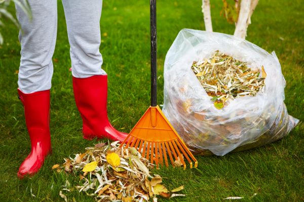Cost of Leaf Disposal Service in Issaquah