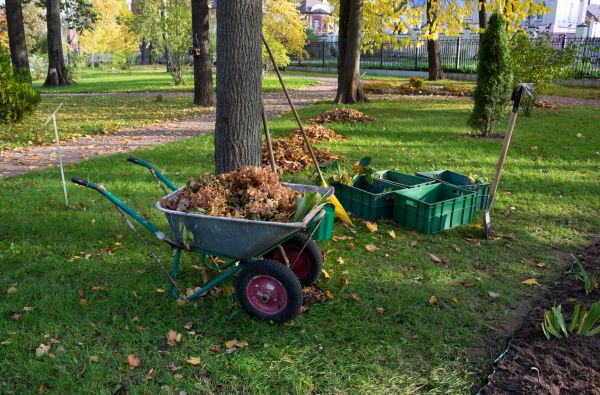Cost of Leaf Clearing Service in Issaquah