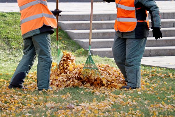 Cost of Leaf Hauling Service in Issaquah
