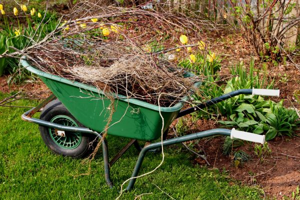 Cost of Lawn Waste Removal in Issaquah