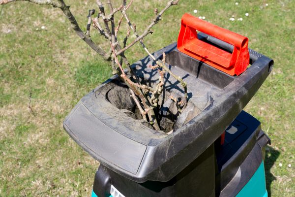 Cost of Brush Cleanup Service in Issaquah