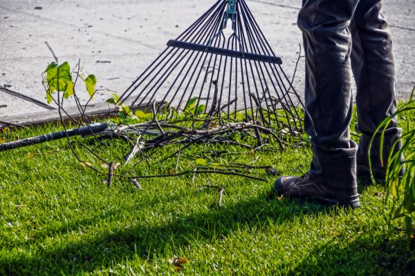Cost of Yard Debris Cleanup in Issaquah