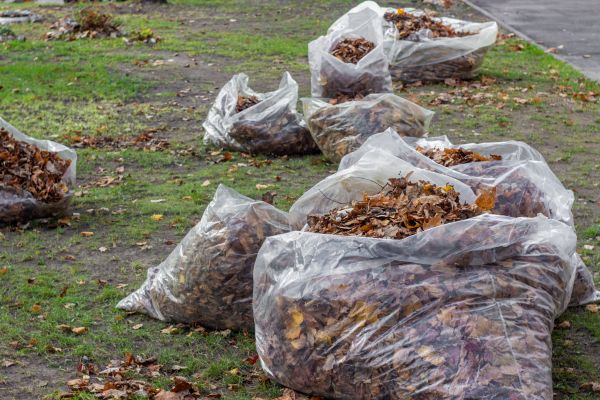 Cost of Leaf Pile Disposal in Issaquah